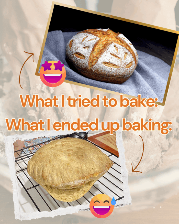 7 Things I Wish I Knew Before Baking My First Sourdough Loaf